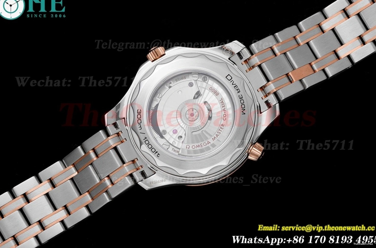 SS 300m Dial 42mm Seamaster Black A8800 JVSF RG 0226